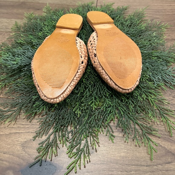 COCONUTS by Matisse - Picture 2 of 8